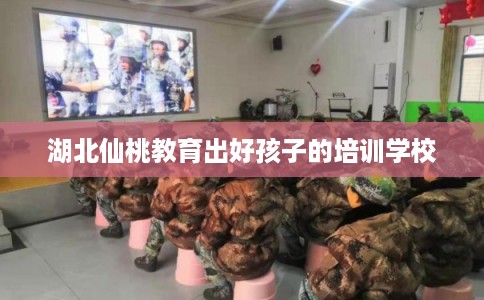 湖北仙桃教育出好孩子的培训学校
