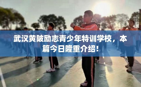 武汉黄陂励志青少年特训学校,本篇今日隆重介绍! 武汉黄陂励志青少年特训学校,本篇今日隆重介绍!