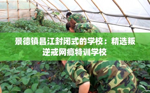 景德镇昌江封闭式的学校：精选叛逆戒网瘾特训学校