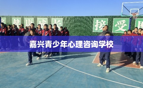 嘉兴青少年心理咨询学校
