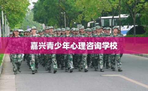 嘉兴青少年心理咨询学校