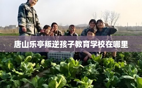 唐山乐亭叛逆孩子教育学校在哪里 唐山乐亭叛逆孩子教育学校在哪里