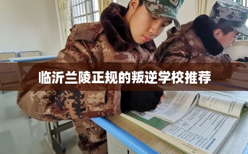 临沂兰陵正规的叛逆学校推荐