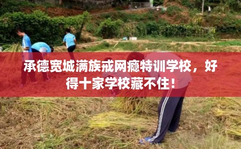 承德宽城满族戒网瘾特训学校,好得十家学校藏不住! 承德宽城满族戒网瘾特训学校,好得十家学校藏不住!