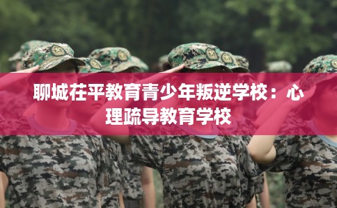 聊城茌平教育青少年叛逆学校：心理疏导教育学校
