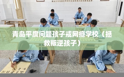 青岛平度问题孩子戒网瘾学校（拯救叛逆孩子）