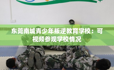 东莞南城青少年叛逆教育学校：可视频参观学校情况