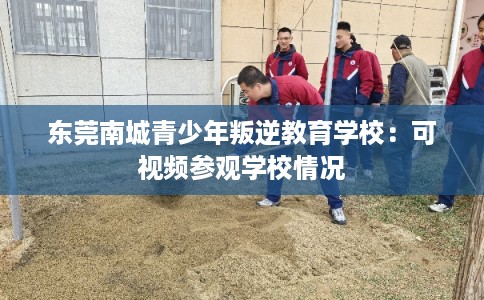 东莞南城青少年叛逆教育学校：可视频参观学校情况
