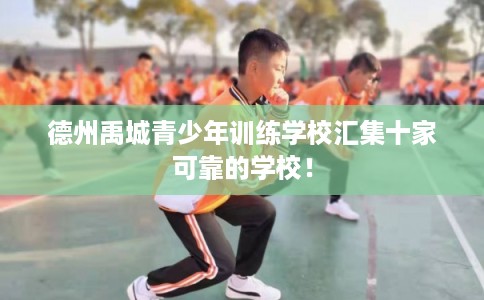 德州禹城青少年训练学校汇集十家可靠的学校！