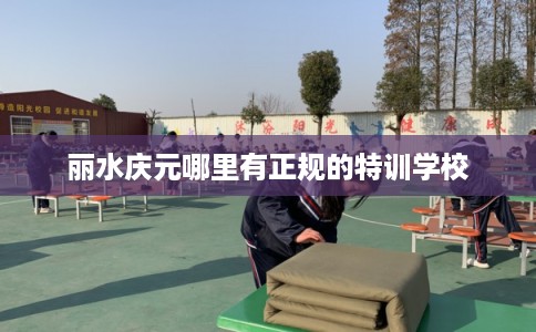 丽水庆元哪里有正规的特训学校