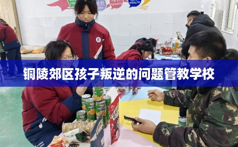 铜陵郊区孩子叛逆的问题管教学校