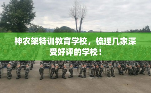 神农架特训教育学校，梳理几家深受好评的学校！