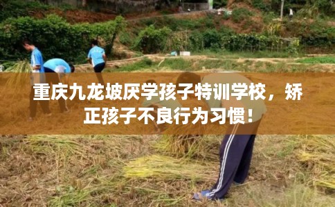 重庆九龙坡厌学孩子特训学校，矫正孩子不良行为习惯！