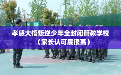 孝感大悟叛逆少年全封闭管教学校(家长认可度很高) 孝感大悟叛逆少年全封闭管教学校(家长认可度很高)