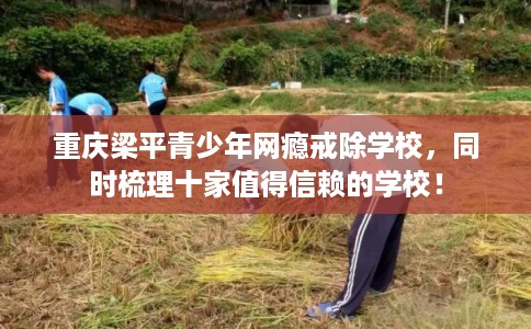 重庆梁平青少年网瘾戒除学校，同时梳理十家值得信赖的学校！