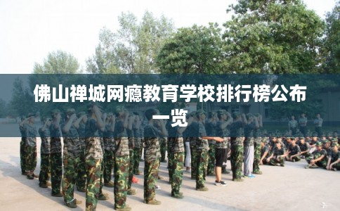 佛山禅城网瘾教育学校排行榜公布一览