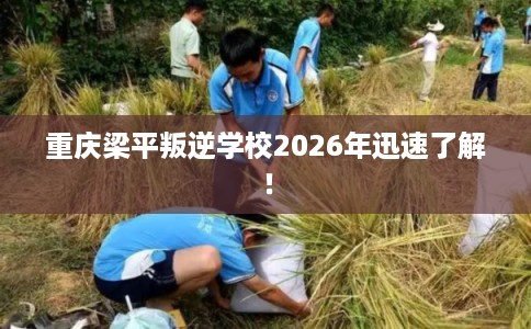 重庆梁平叛逆学校2026年迅速了解！