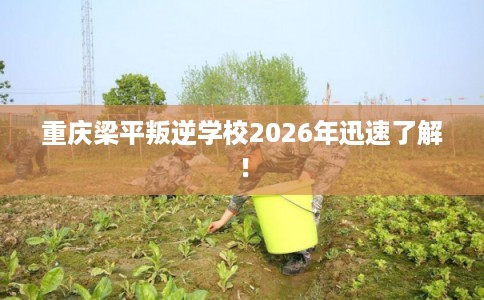 重庆梁平叛逆学校2026年迅速了解！