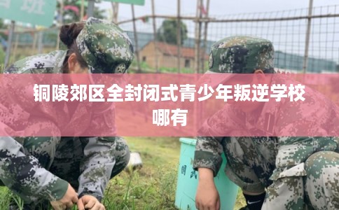 铜陵郊区全封闭式青少年叛逆学校哪有