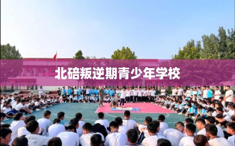 北碚叛逆期青少年学校