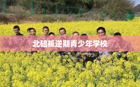北碚叛逆期青少年学校