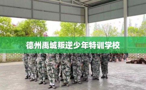 德州禹城叛逆少年特训学校 德州禹城叛逆少年特训学校