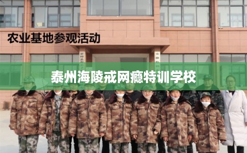 泰州海陵戒网瘾特训学校