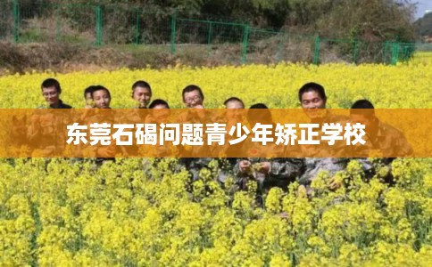 东莞石碣问题青少年矫正学校