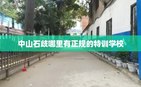 中山石歧哪里有正规的特训学校