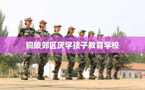铜陵郊区厌学孩子教育学校
