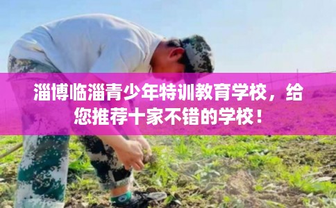 淄博临淄青少年特训教育学校,给您推荐十家不错的学校! 淄博临淄青少年特训教育学校,给您推荐十家不错的学校!