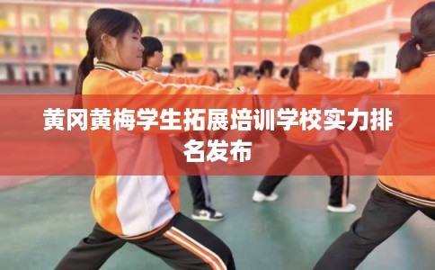黄冈黄梅学生拓展培训学校实力排名发布 黄冈黄梅学生拓展培训学校实力排名发布