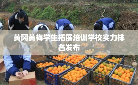 黄冈黄梅学生拓展培训学校实力排名发布 黄冈黄梅学生拓展培训学校实力排名发布
