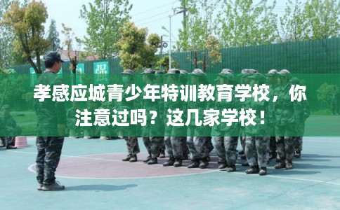 孝感应城青少年特训教育学校，你注意过吗？这几家学校！
