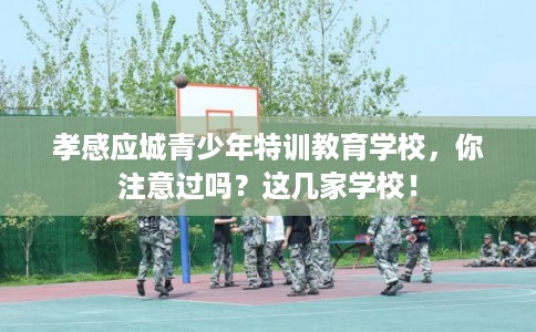孝感应城青少年特训教育学校，你注意过吗？这几家学校！
