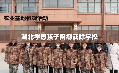 湖北孝感孩子网瘾戒除学校 湖北孝感孩子网瘾戒除学校