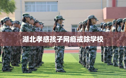 湖北孝感孩子网瘾戒除学校 湖北孝感孩子网瘾戒除学校