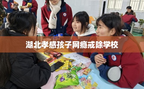 湖北孝感孩子网瘾戒除学校
