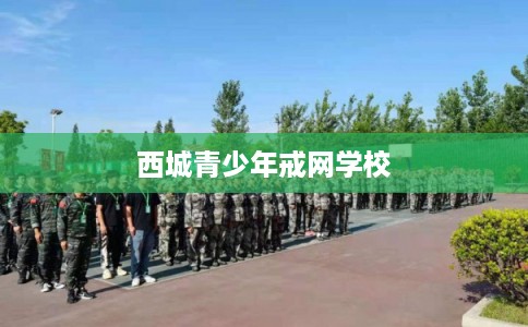 西城青少年戒网学校
