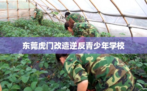 东莞虎门改造逆反青少年学校