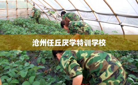 沧州任丘厌学特训学校