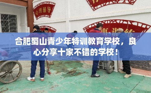 合肥蜀山青少年特训教育学校，良心分享十家不错的学校！
