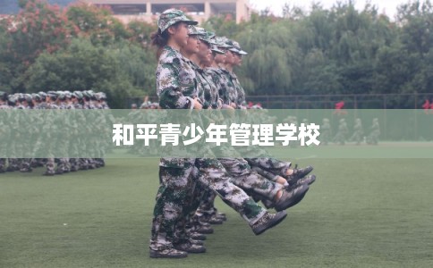 和平青少年管理学校