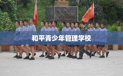 和平青少年管理学校