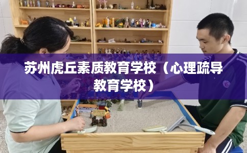苏州虎丘素质教育学校（心理疏导教育学校）