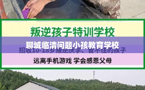 聊城临清问题小孩教育学校 聊城临清问题小孩教育学校