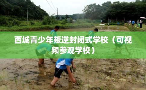 西城青少年叛逆封闭式学校（可视频参观学校）