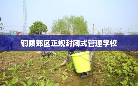 铜陵郊区正规封闭式管理学校