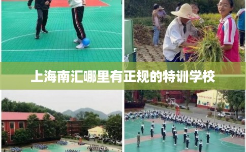 上海南汇哪里有正规的特训学校 上海南汇哪里有正规的特训学校