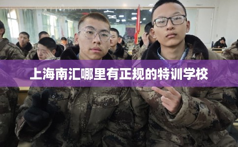 上海南汇哪里有正规的特训学校 上海南汇哪里有正规的特训学校
